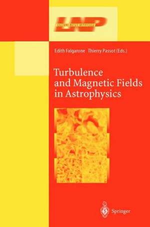 Turbulence and Magnetic Fields in Astrophysics de Edith Falgarone