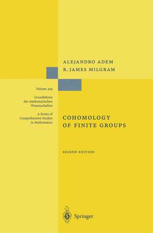 Cohomology of Finite Groups de Alejandro Adem