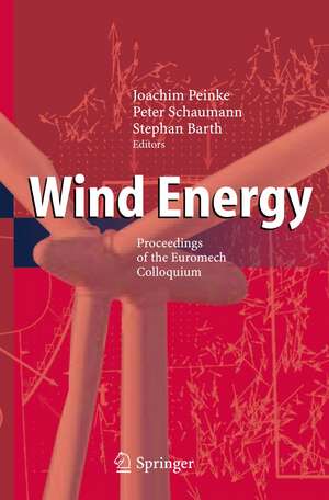 Wind Energy de Joachim Peinke