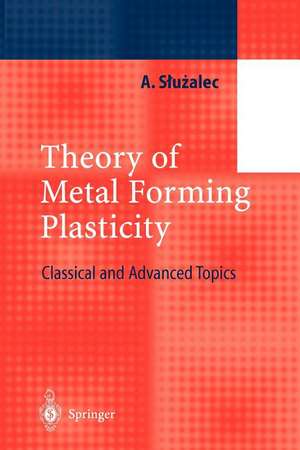 Theory of Metal Forming Plasticity: Classical and Advanced Topics de Andrzej Sluzalec