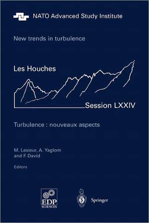 New trends in turbulence. Turbulence: nouveaux aspects: Les Houches Session LXXIV 31 July - 1 September 2000 de M. Lesieur