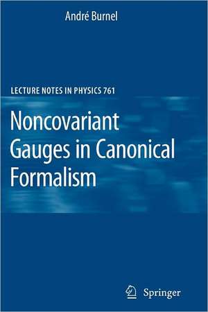 Noncovariant Gauges in Canonical Formalism de André Burnel