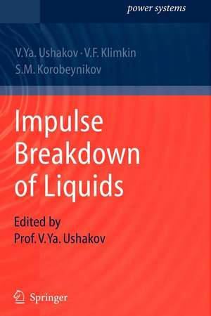 Impulse Breakdown of Liquids de Vasily Y. Ushakov