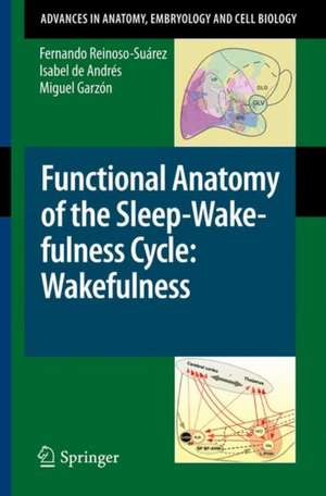 Functional Anatomy of the Sleep-Wakefulness Cycle: Wakefulness de Fernando Reinoso-Suárez