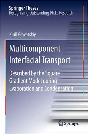 Multicomponent Interfacial Transport: Described by the Square Gradient Model during Evaporation and Condensation de Kirill Glavatskiy
