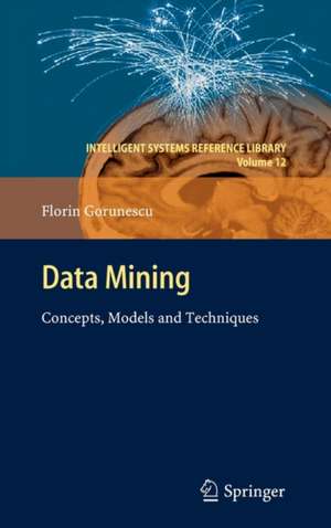 Data Mining: Concepts, Models and Techniques de Florin Gorunescu