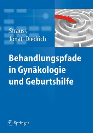 Behandlungspfade in Gynäkologie und Geburtshilfe de Alexander Strauss