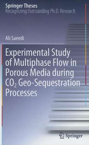 Experimental Study of Multiphase Flow in Porous Media during CO2 Geo-Sequestration Processes de Ali Saeedi