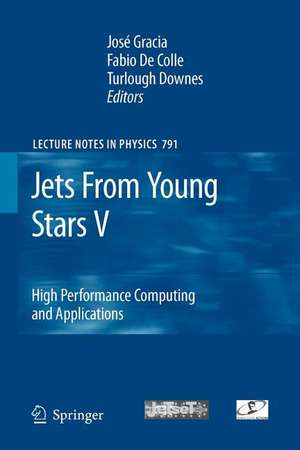 Jets From Young Stars V: High Performance Computing and Applications de José Gracia