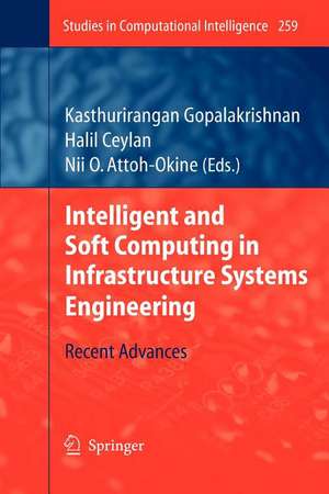 Intelligent and Soft Computing in Infrastructure Systems Engineering: Recent Advances de Kasthurirangan Gopalakrishnan