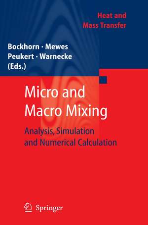 Micro and Macro Mixing: Analysis, Simulation and Numerical Calculation de Henning Bockhorn