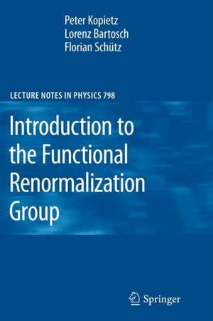 Introduction to the Functional Renormalization Group de Peter Kopietz