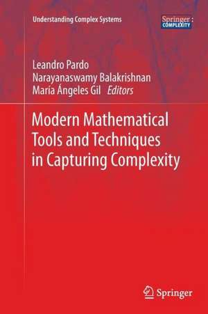 Modern Mathematical Tools and Techniques in Capturing Complexity de Leandro Pardo