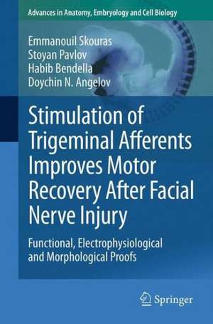 Stimulation of Trigeminal Afferents Improves Motor Recovery After Facial Nerve Injury: Functional, Electrophysiological and Morphological Proofs de Emmanouil Skouras