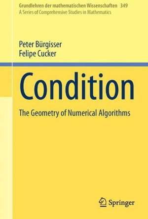 Condition: The Geometry of Numerical Algorithms de Peter Bürgisser