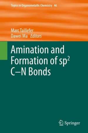 Amination and Formation of sp2 C-N Bonds de Marc Taillefer