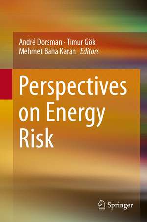 Perspectives on Energy Risk de André Dorsman