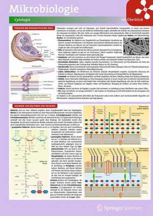 Lerntafel: Mikrobiologie im Überblick