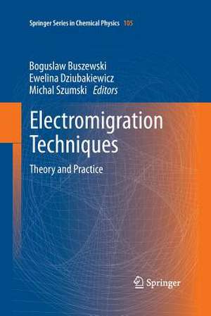 Electromigration Techniques: Theory and Practice de Boguslaw Buszewski