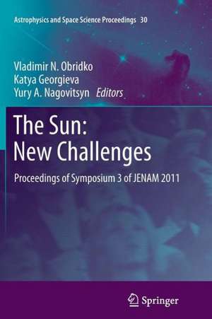 The Sun: New Challenges: Proceedings of Symposium 3 of JENAM 2011 de Vladimir N. Obridko