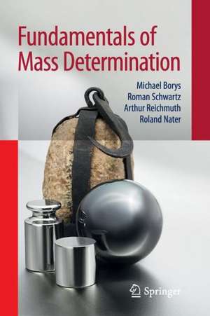 Fundamentals of Mass Determination de Michael Borys