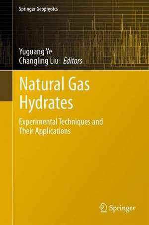 Natural Gas Hydrates: Experimental Techniques and Their Applications de Yuguang Ye