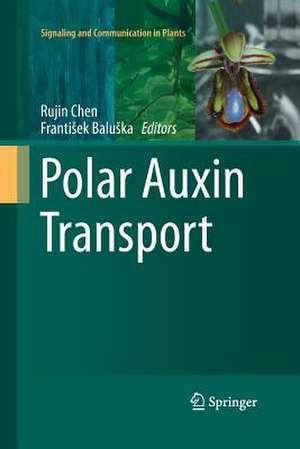 Polar Auxin Transport de Rujin Chen