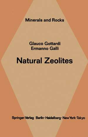 Natural Zeolites de G. Gottardi