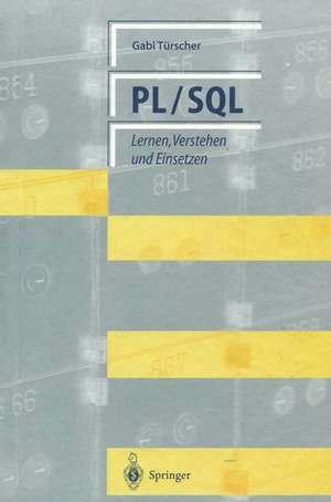 PL/SQL: Lernen, Verstehen und Einsetzen de Gabi Türscher