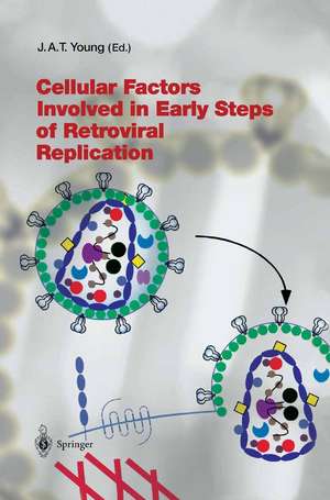 Cellular Factors Involved in Early Steps of Retroviral Replication de John A.T. Young