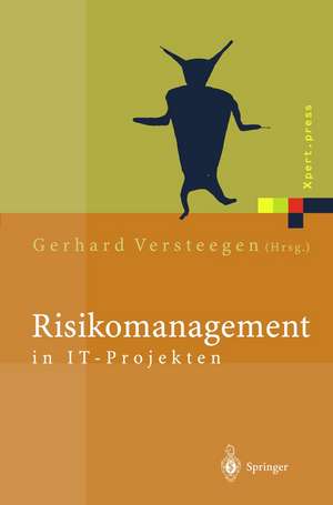 Risikomanagement in IT-Projekten: Gefahren rechtzeitig erkennen und meistern de Gerhard Versteegen