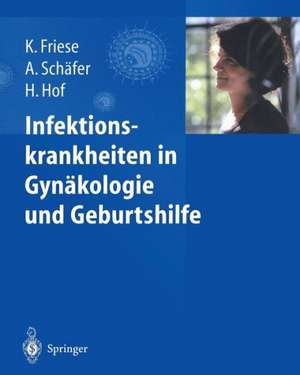 Infektionskrankheiten in Gynäkologie und Geburtshilfe de Klaus Friese