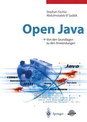 Open Java: Von den Grundlagen zu den Anwendungen de Stephan Fischer