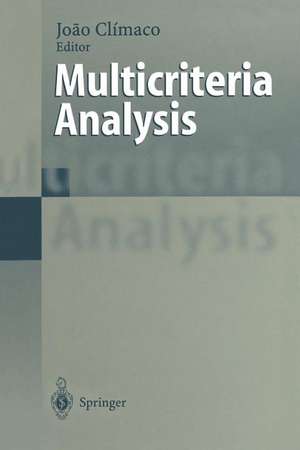 Multicriteria Analysis: Proceedings of the XIth International Conference on MCDM, 1–6 August 1994, Coimbra, Portugal de Joao Climaco