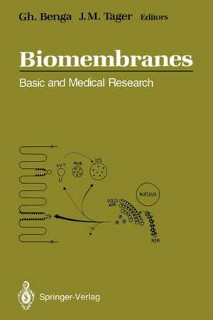 Biomembranes: Basic and Medical Research de Gheorghe Benga