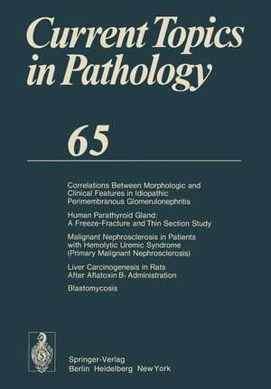 Current Topics in Pathology: Continuation of Ergebnisse der Pathologie de E. Grundmann