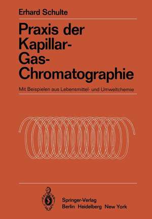 Praxis der Kapillar-Gas-Chromatographie: Mit Beispielen aus Lebensmittel- und Umweltchemie de Erhard Schulte