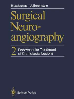 Surgical Neuroangiography: 2 Endovascular Treatment of Craniofacial Lesions de Pierre Lasjaunias