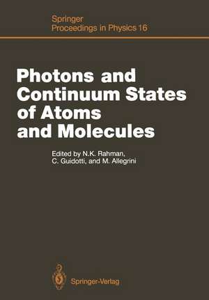 Photons and Continuum States of Atoms and Molecules: Proceedings of a Workshop Cortona, Italy, June 16–20, 1986 de Carla Guidotti