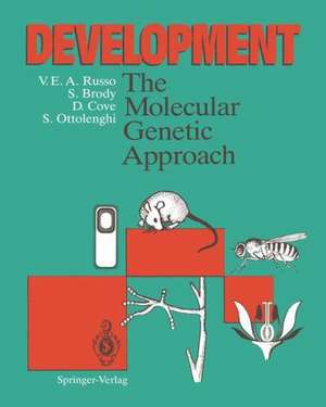 Development: The Molecular Genetic Approach de Vincenzo E. a. Russo