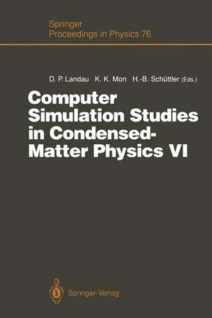 Computer Simulation Studies in Condensed-Matter Physics VI: Proceedings of the Sixth Workshop, Athens, GA, USA, February 22–26, 1993 de David P. Landau