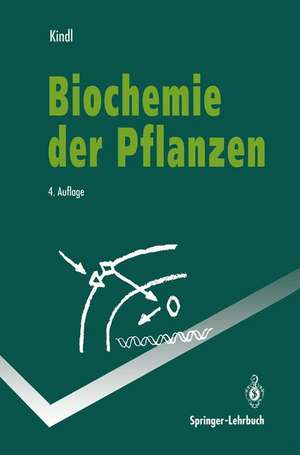 Biochemie der Pflanzen de Helmut Kindl