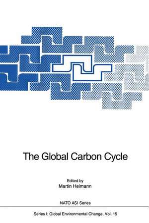 The Global Carbon Cycle de Martin Heimann