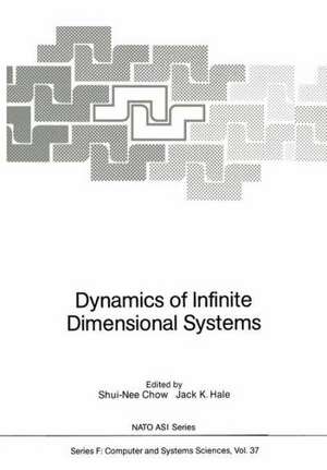 Dynamics of Infinite Dimensional Systems de Shui-Nee Chow