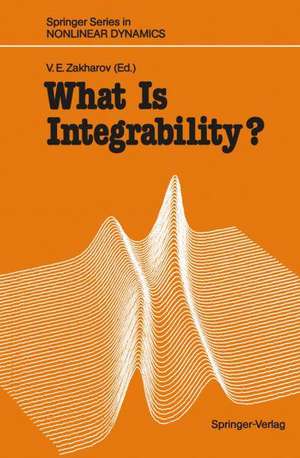 What Is Integrability? de Vladimir E. Zakharov