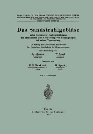 Das Sandstrahlgebläse: unter besonderer Berücksichtigung der Maßnahmen zur Vermeidung von Schädigungen bei seiner Verwendung de E. Lehmann