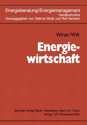 Energiewirtschaft de Dietmar Winje