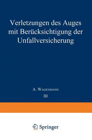 Verletzungen des Auges mit Berücksichtigung der Unfallversicherung de A. Wagenmann