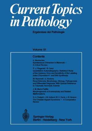 Current Topics in Pathology: Ergebnisse der Pathologie de Hans-W. Altmann