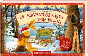 24 Adventsbriefe von Felix de Annette Langen